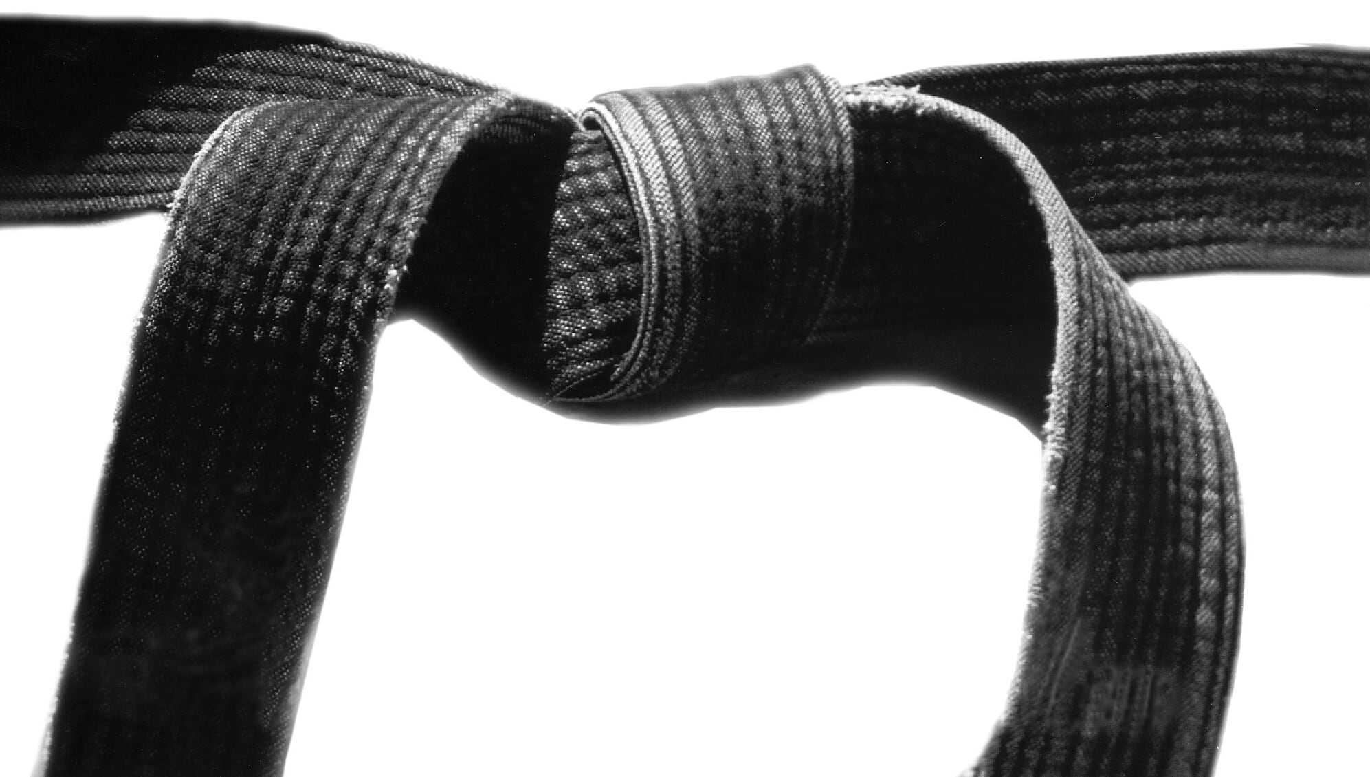 Image of multiple Black Belts lined up